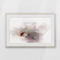 PNP100W070