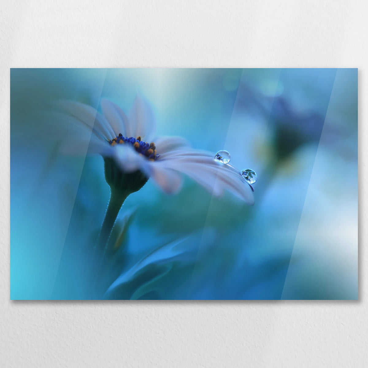 AC-075W050