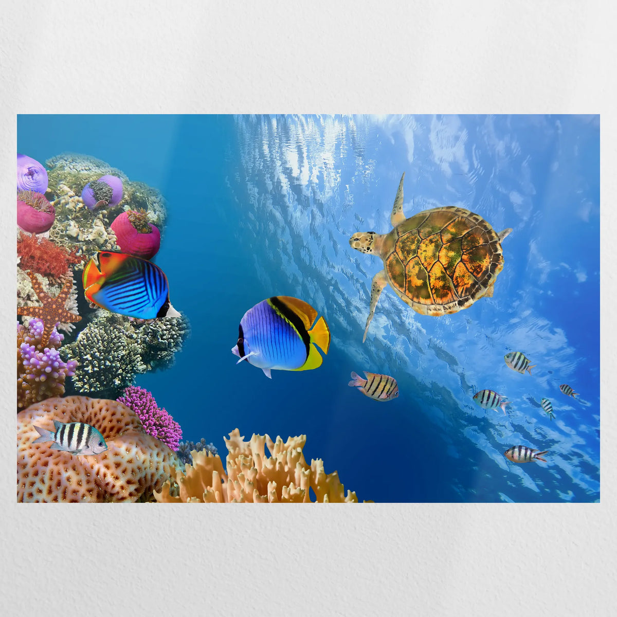 PO-090W060