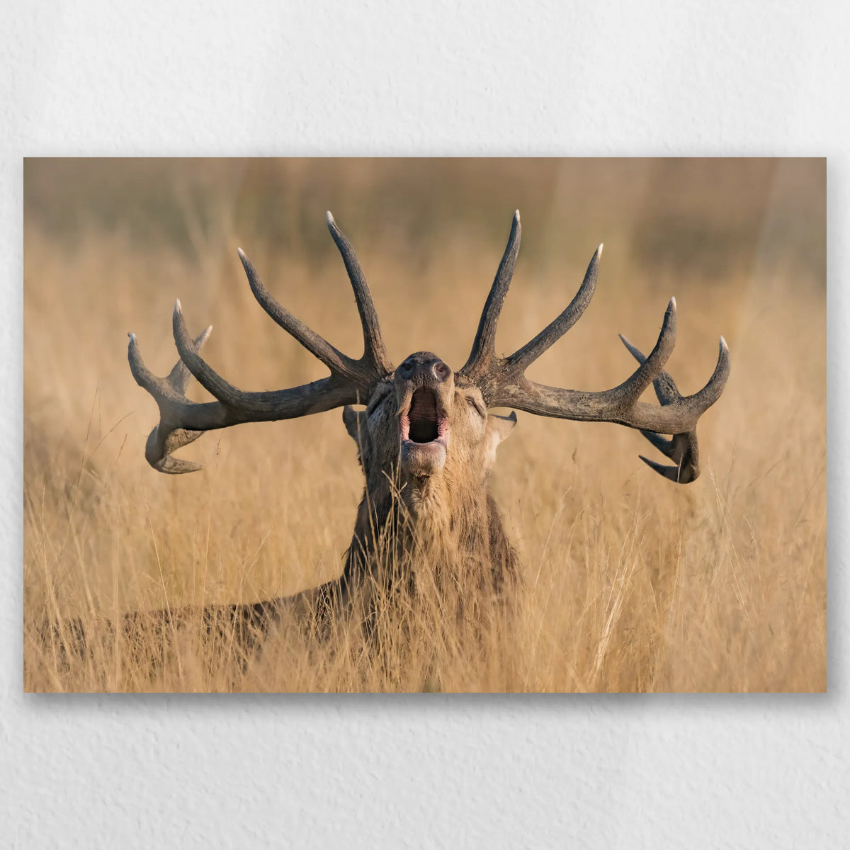 AL-030W020