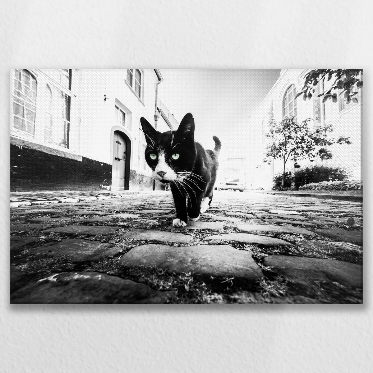 LW-075W050
