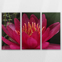 LW-150R100