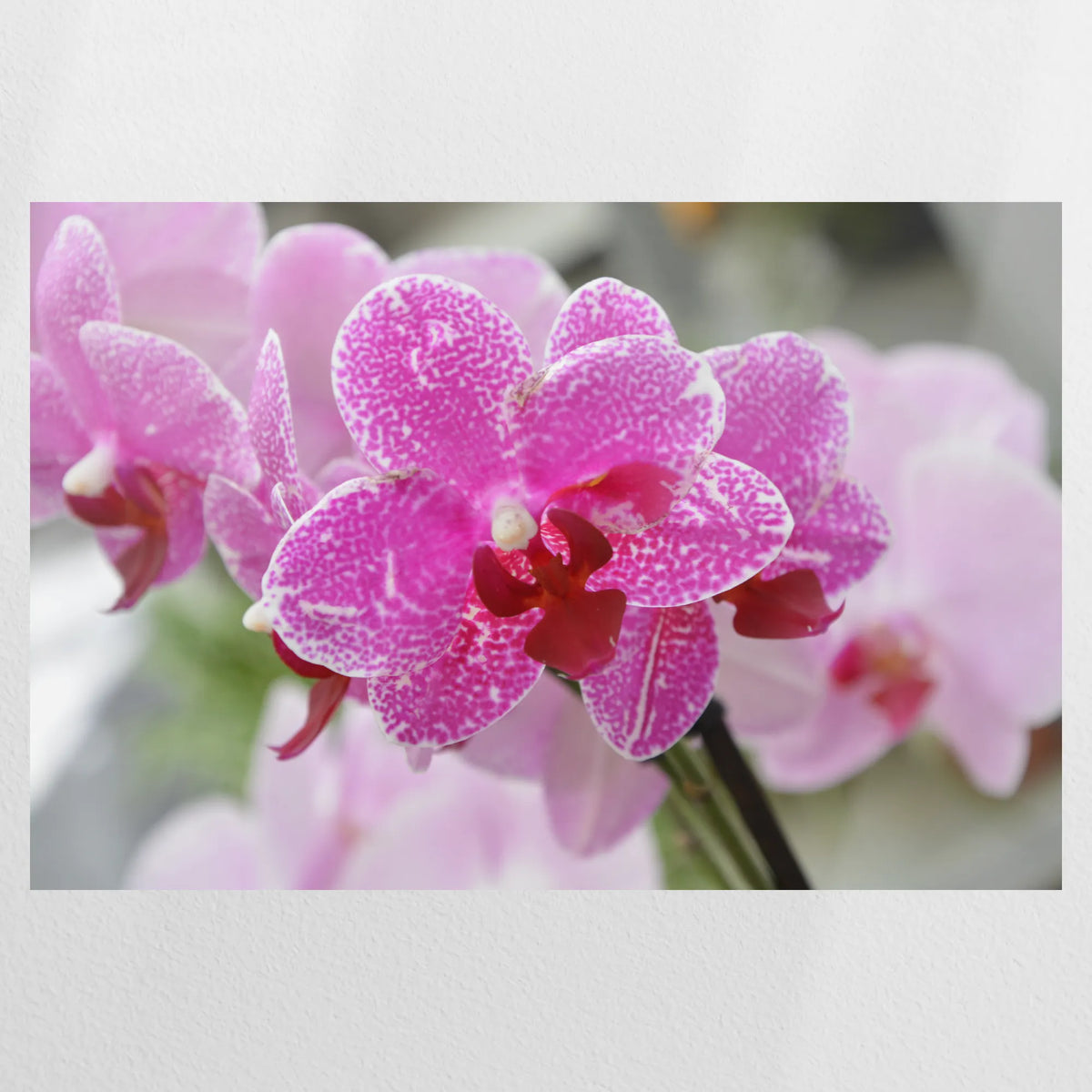 PO-120W080