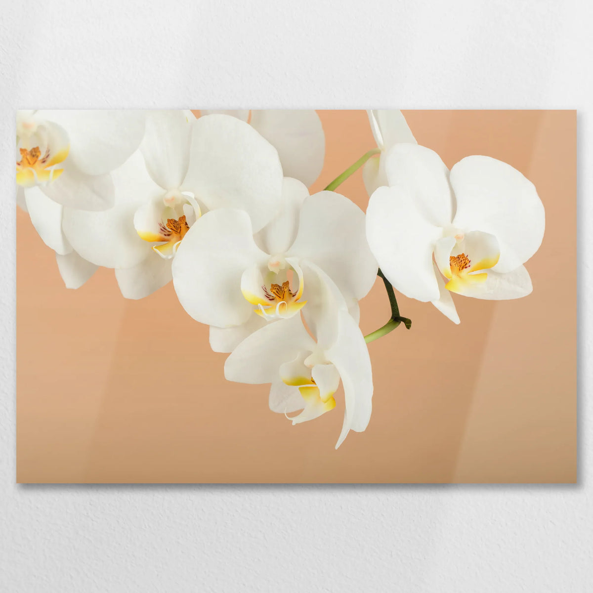 AL-075W050