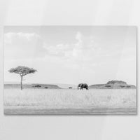 AC-075W050