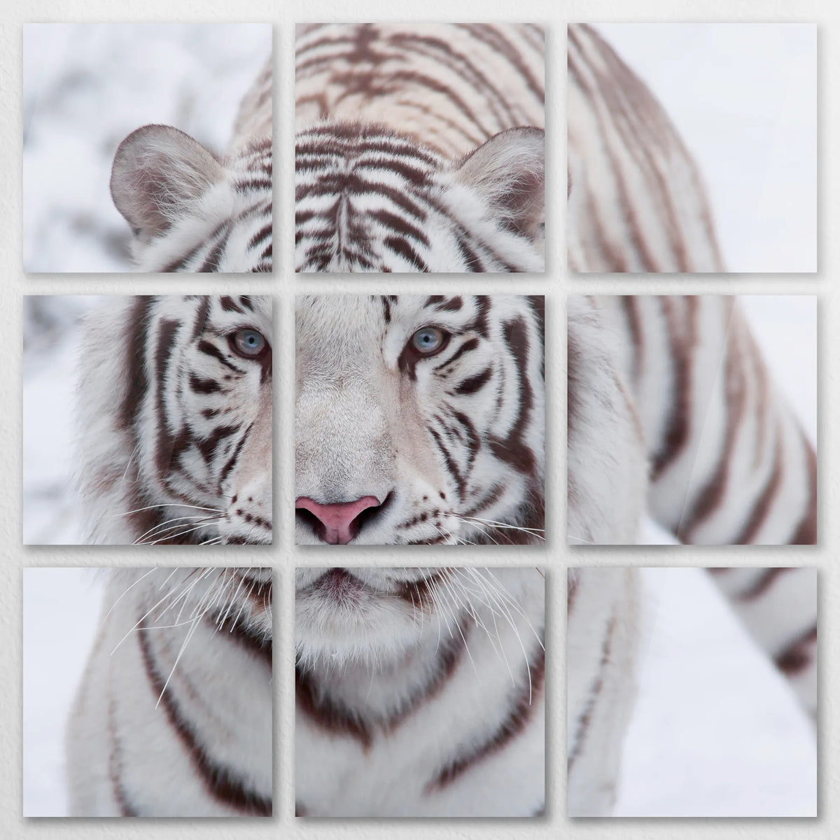 AC-120Z120