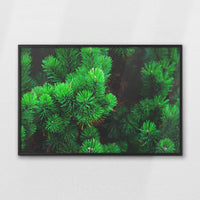 LWB120W080