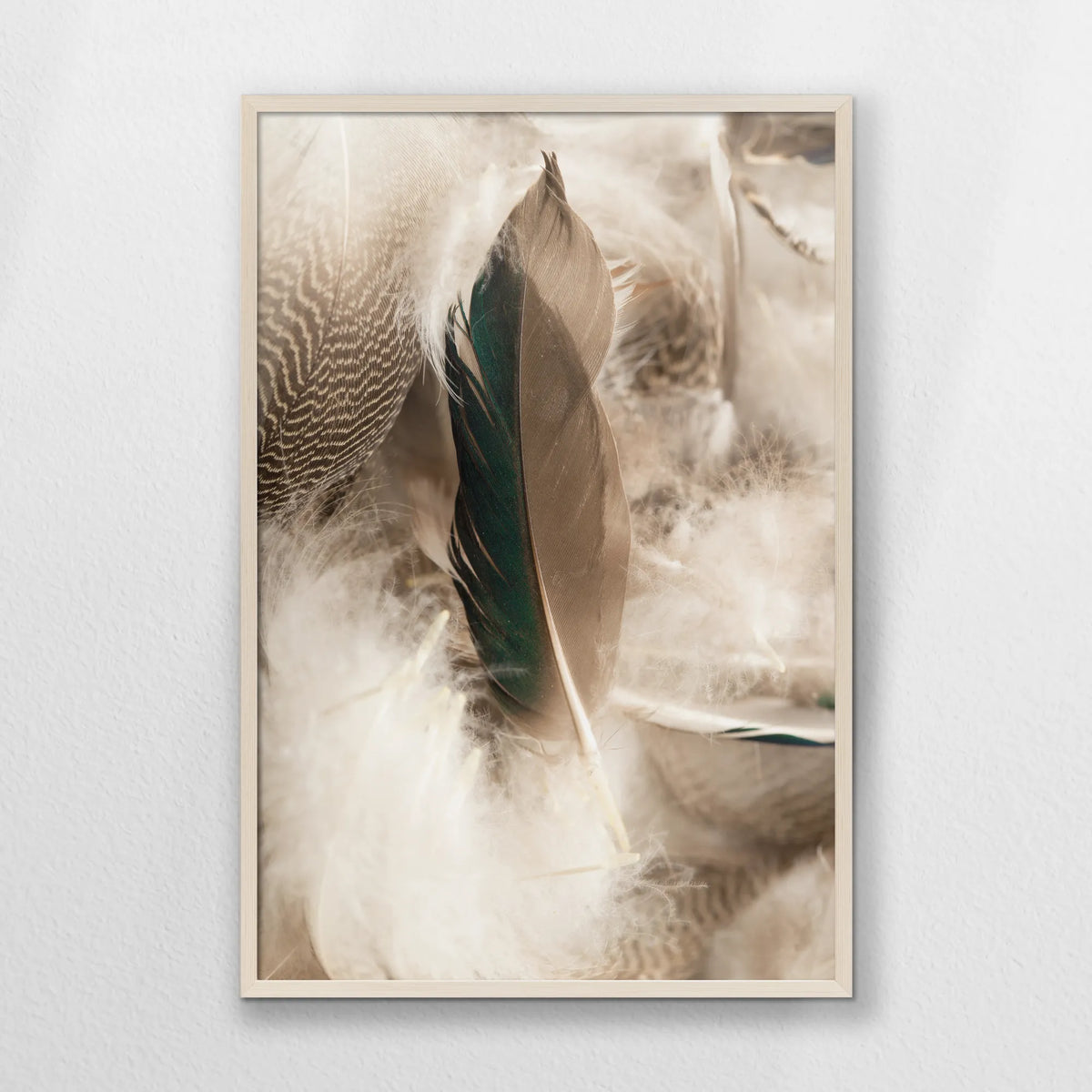 PN-062W093