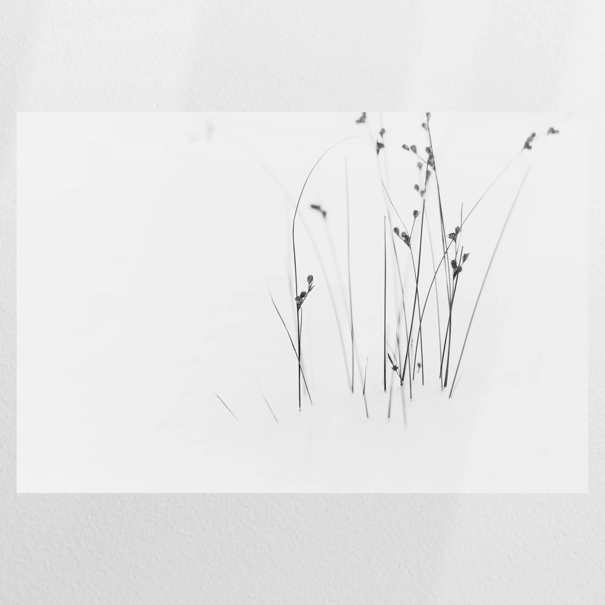 PO-075W050
