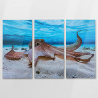 AC-120R080