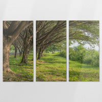 AC-210R140