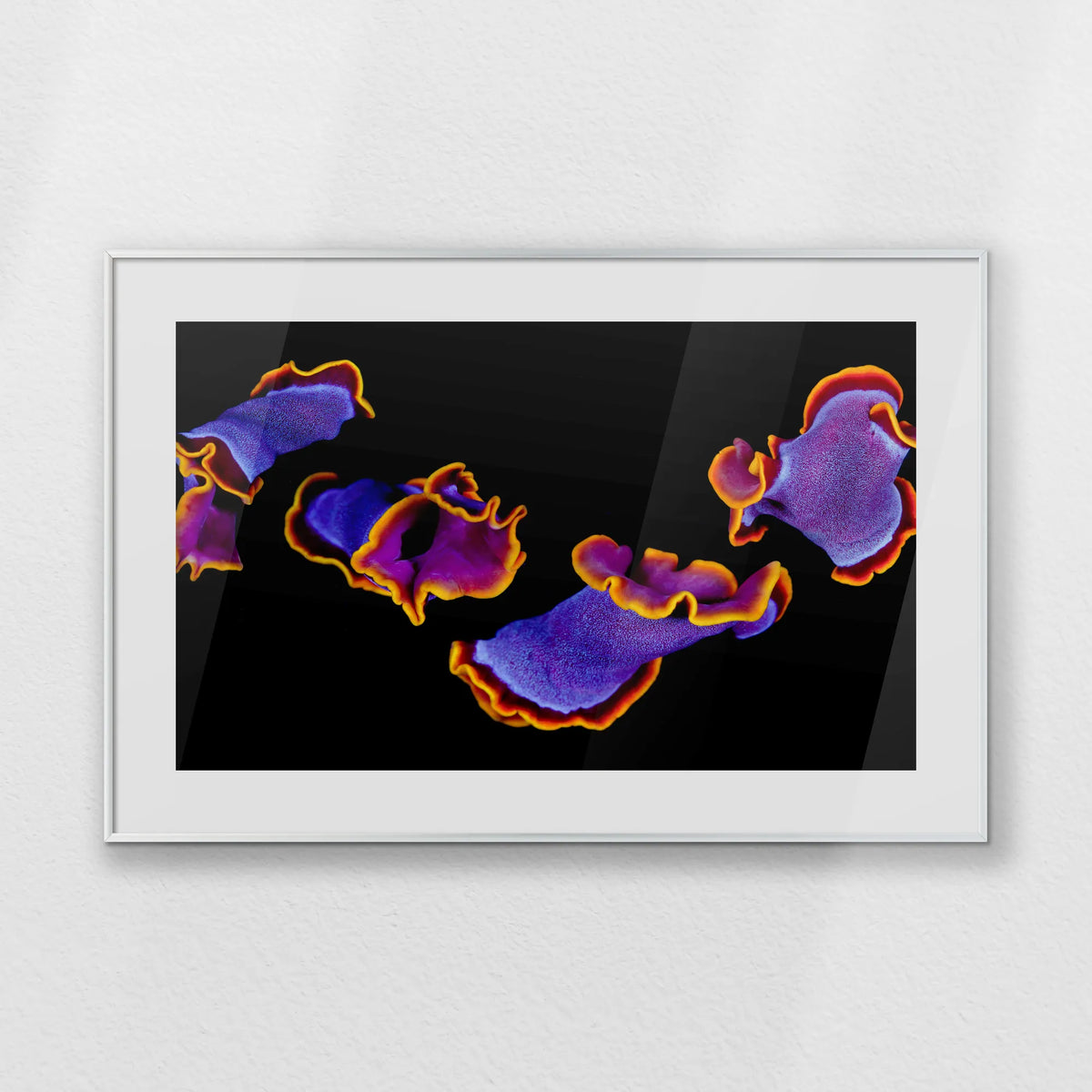 PSP093W062