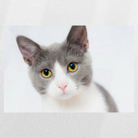 PO-060W040