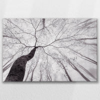 LW-090W060
