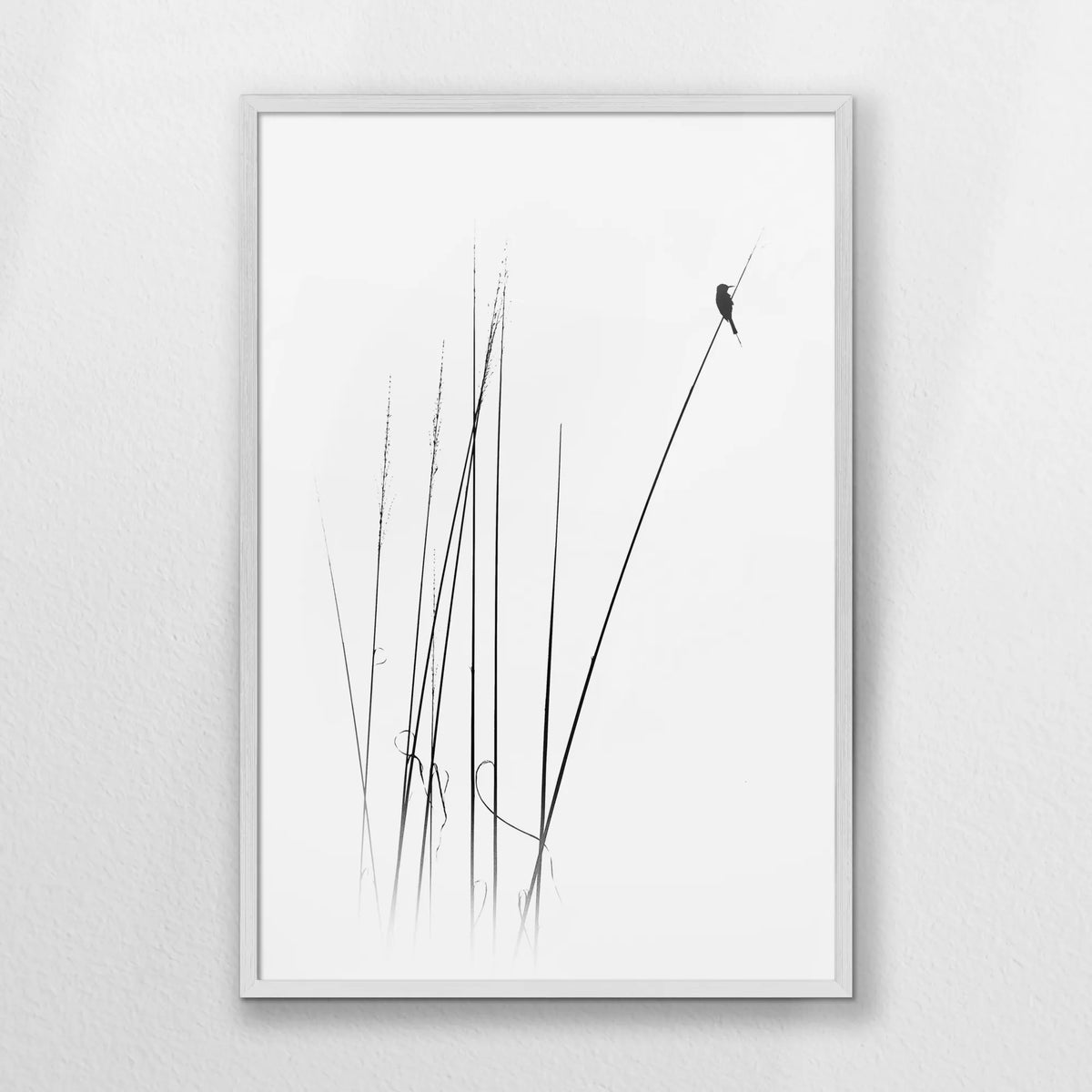 PW-062W093