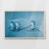 PN-093W062