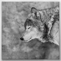 LW-050W050