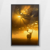 PK-062W093