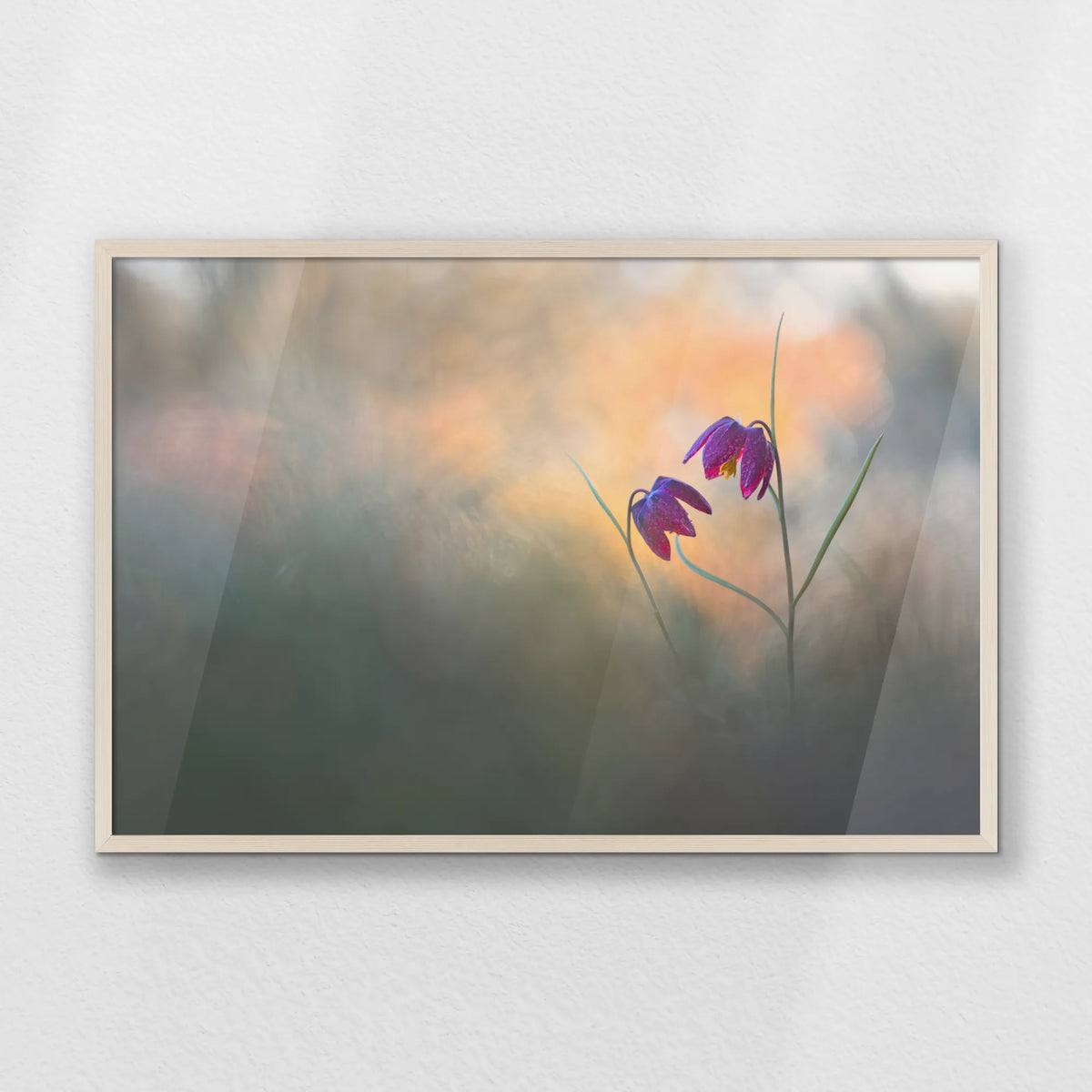 PN-093W062