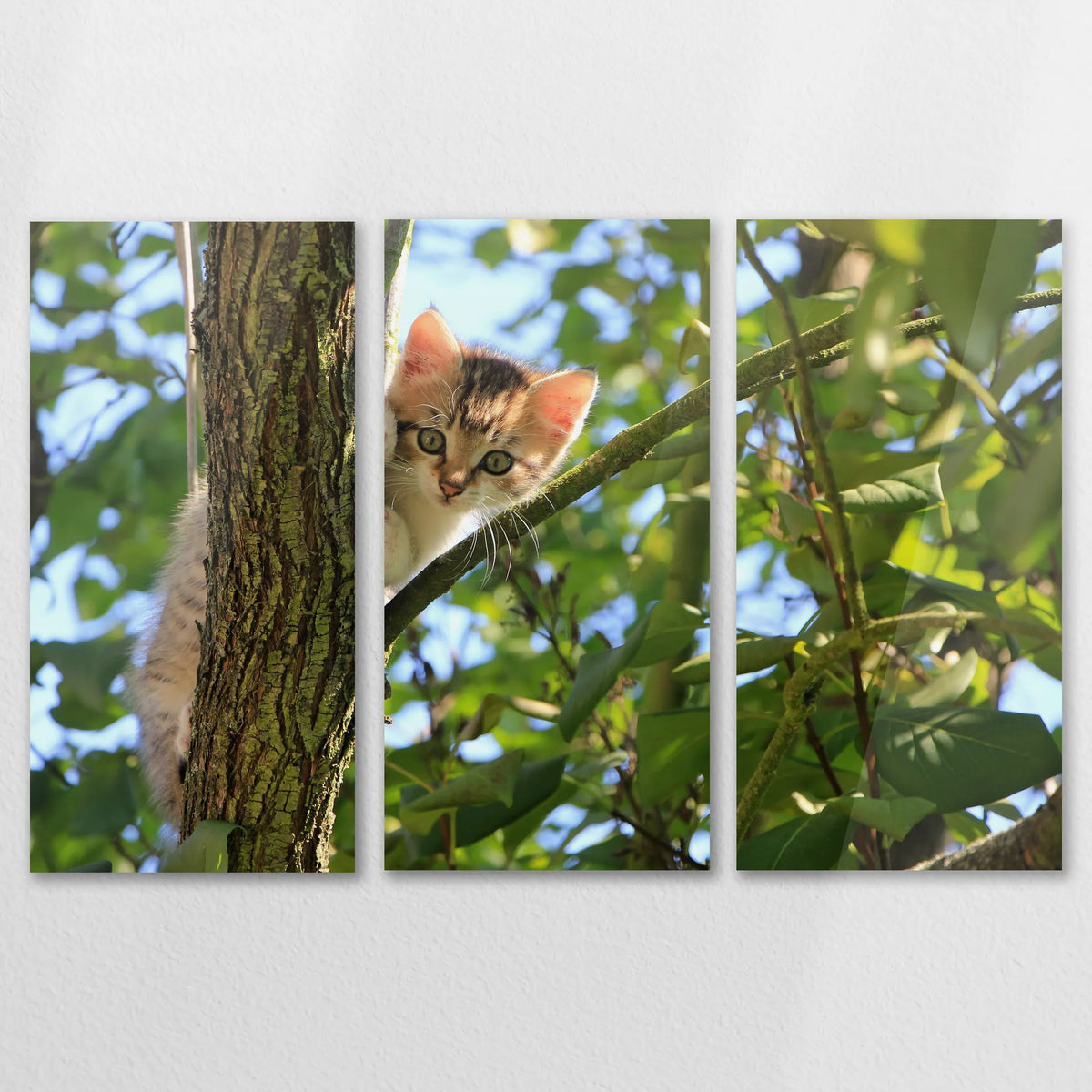 AC-120R080