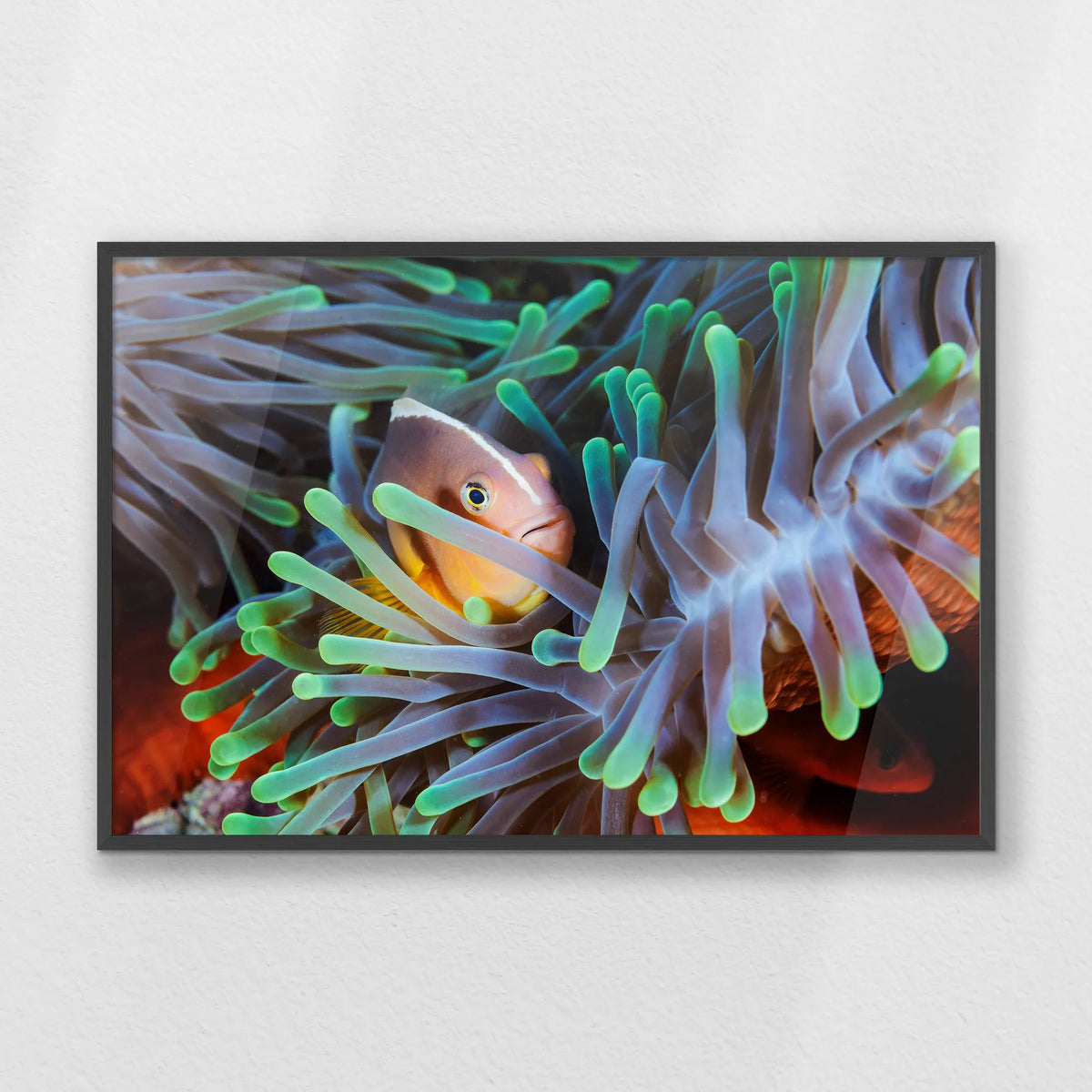 PK-100W070