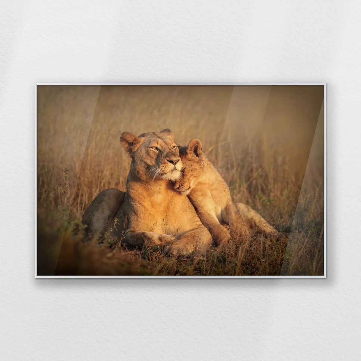 PS-100W070