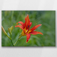 LW-045W030
