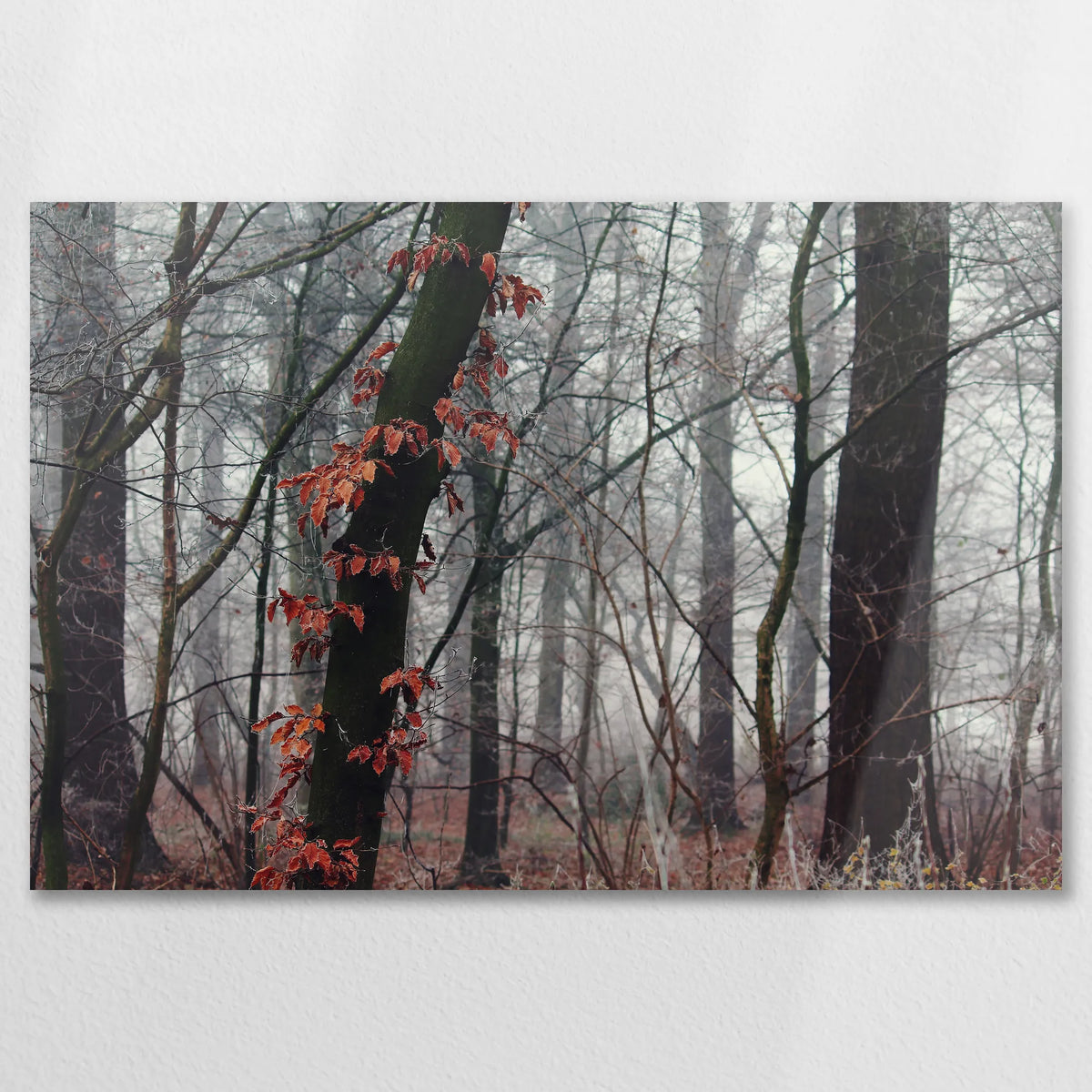 AL-075W050