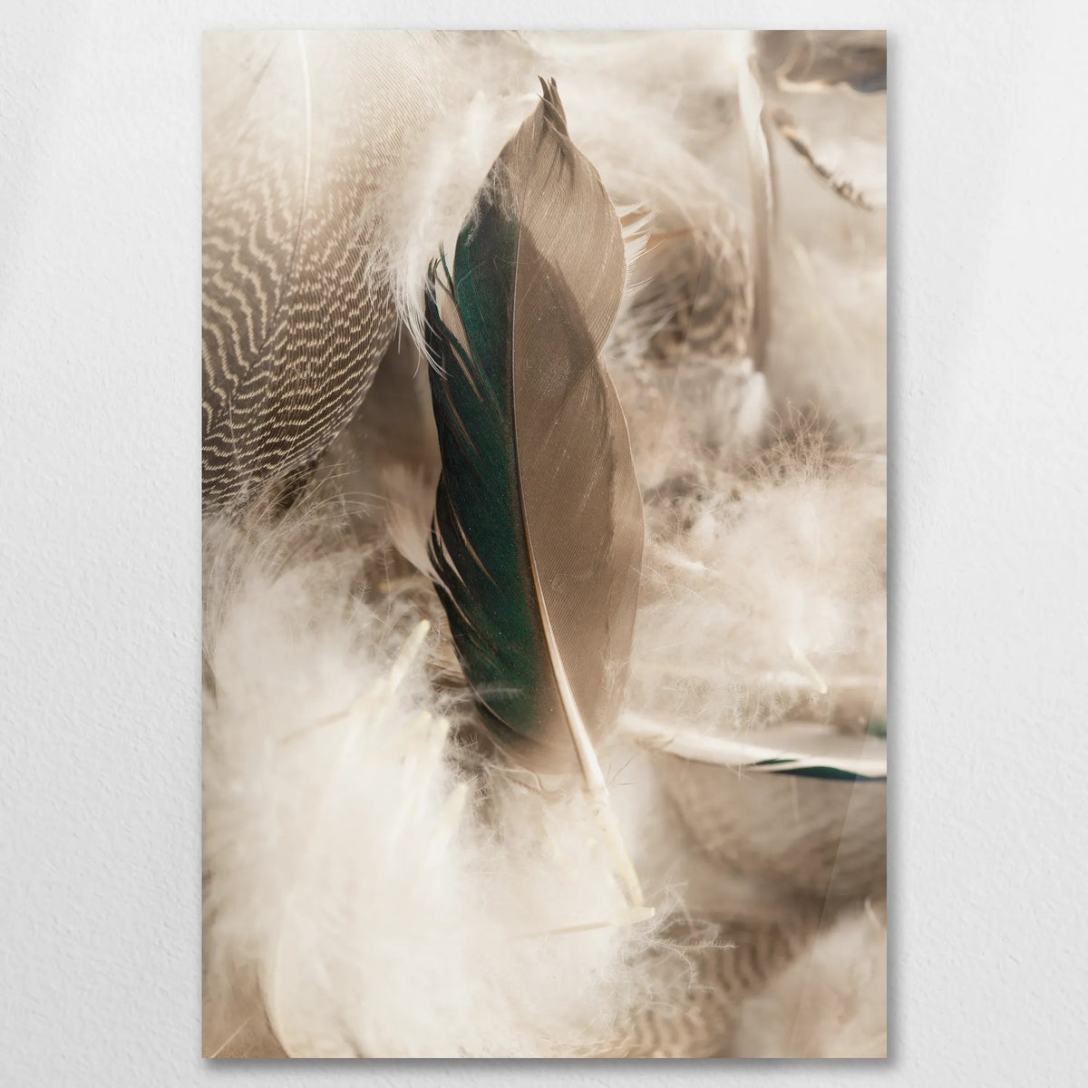 AC-060W090