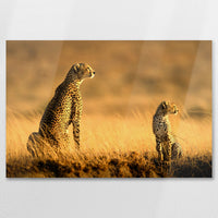 AL-075W050