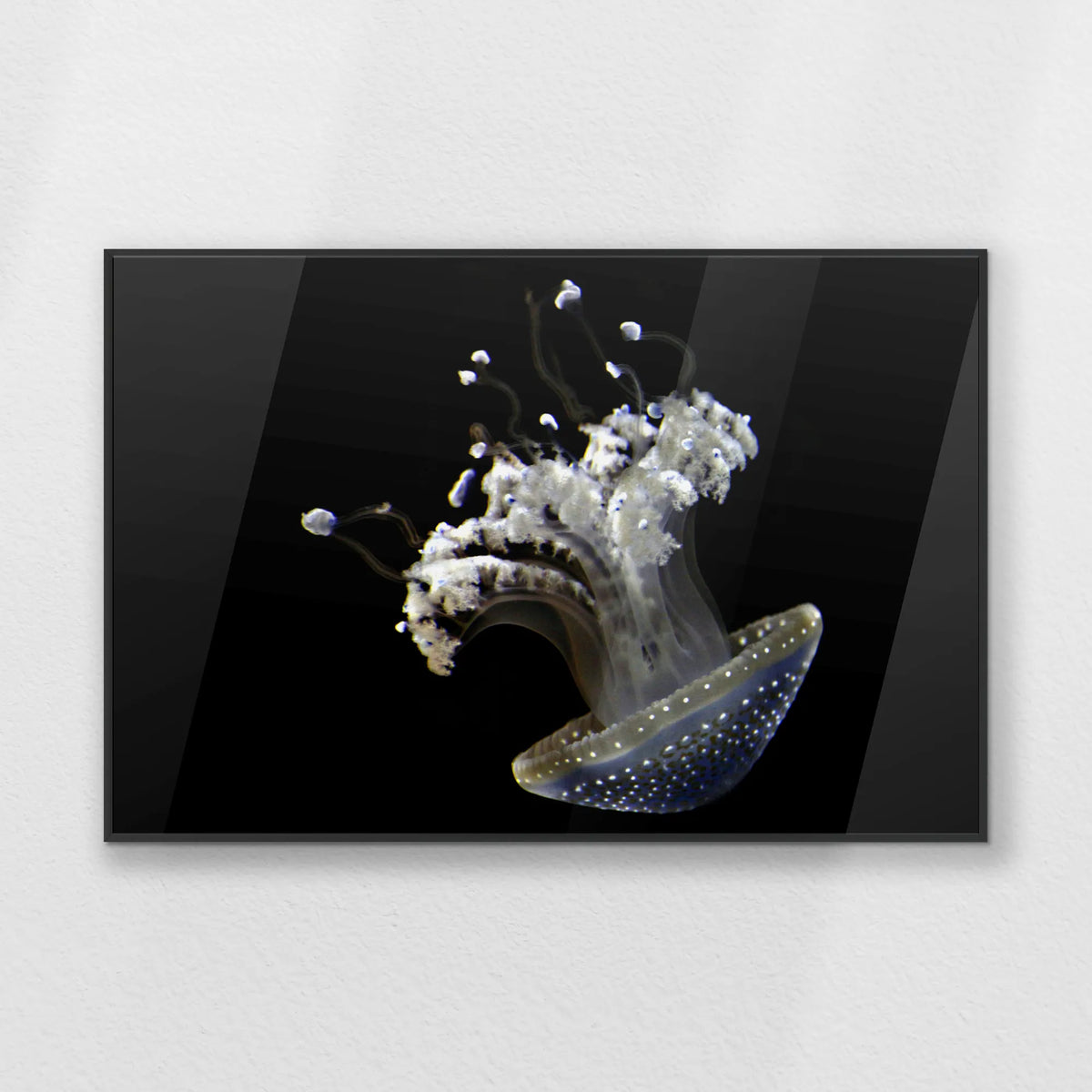 PB-093W062