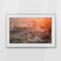 PSP100W070