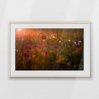 PNP100W070
