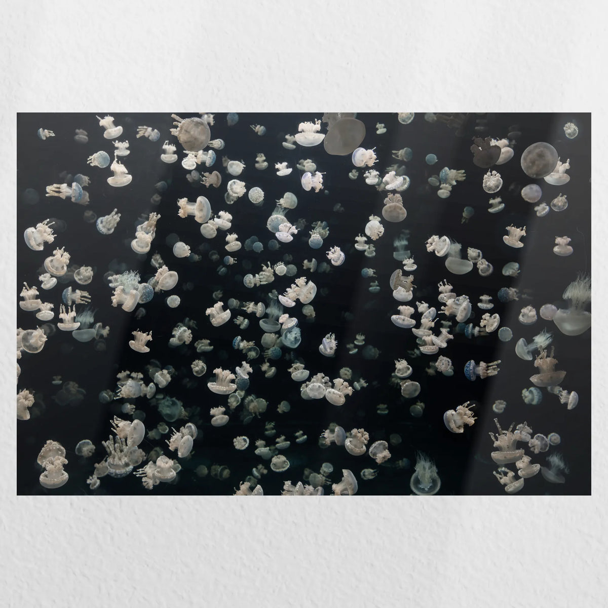 PO-060W040