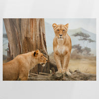 PO-090W060