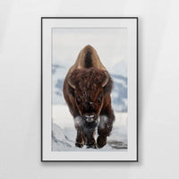 PBP070W100