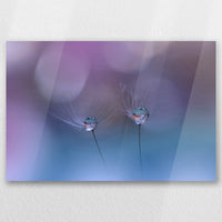 AC-030W020
