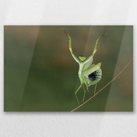 AL-030W020