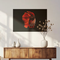 PO-075W050