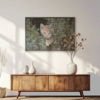 PK-093W062
