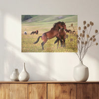 PO-060W040