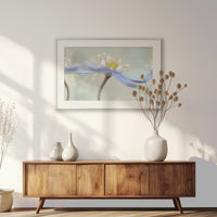 PSP093W062