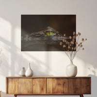 PO-075W050