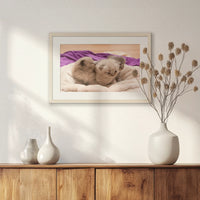 PNP060W040