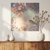 PO-050W050