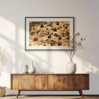 PKP093W062