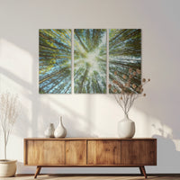 AC-120R080