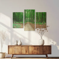 AC-120T080