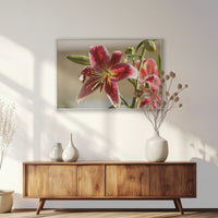 PS-100W070