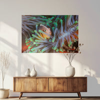 PO-120W080